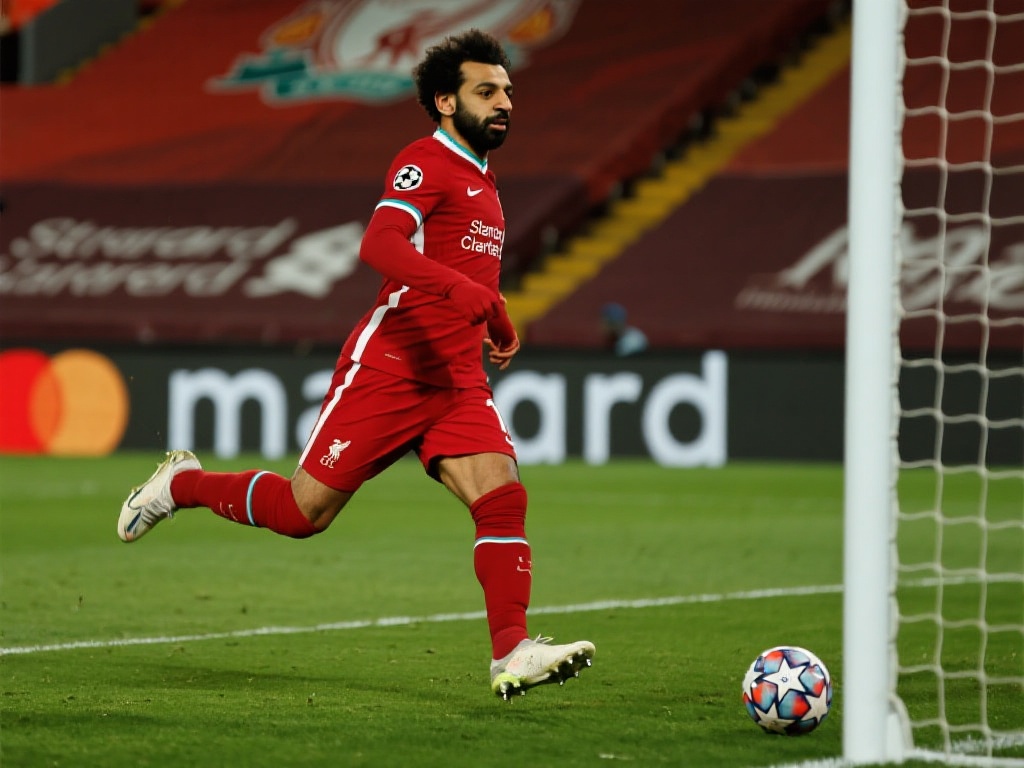 注和支持 注和支持